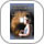 Books, Music and Videos