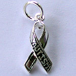 Autism Awareness Ribbon Charm